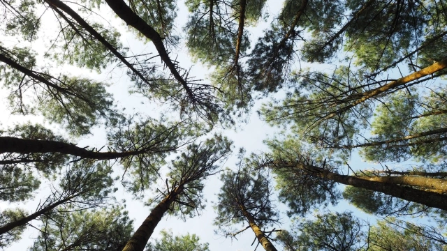 Aldino hartan putra Yq N0mzw Vsz0 unsplash