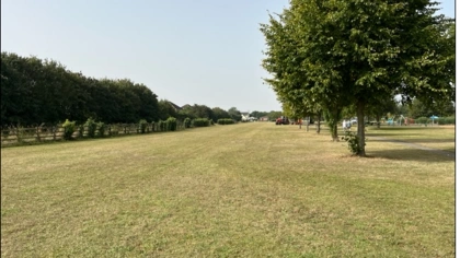 Picture3