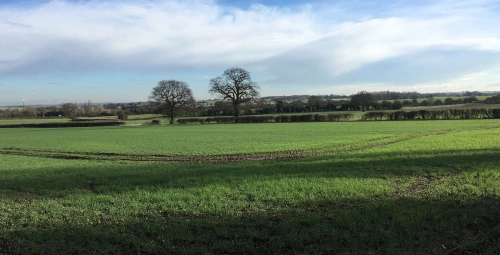 Browns Lane 2